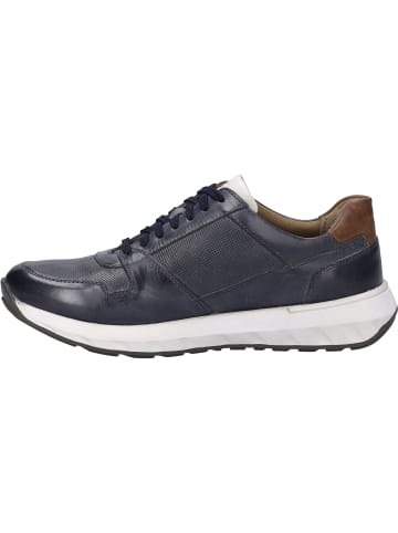 Josef Seibel Sneaker Cameron 10 in blau