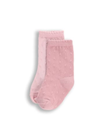 Coccodrillo Socken in bunt
