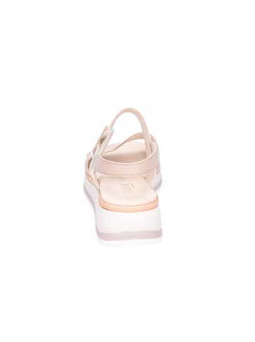 Gabor Plateausandaletten in creme/rose/weiss