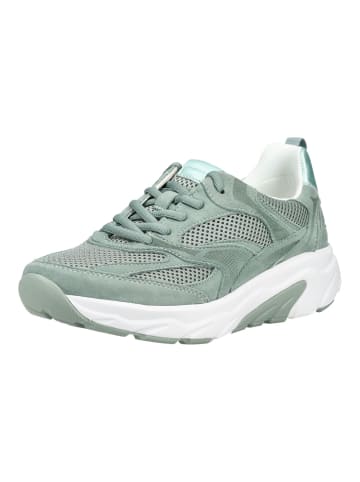 Gabor Sneaker in Jade