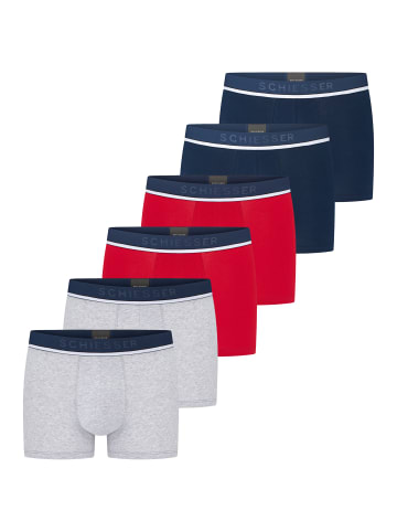 Schiesser Retro Short / Pant 95/5 Cotton in Rot / Blau / Grau