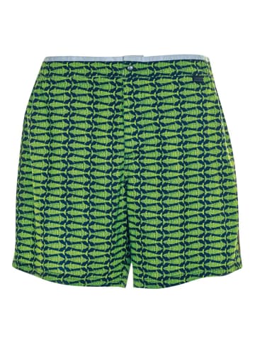wavebreaker Shorts in nachtblau/grün
