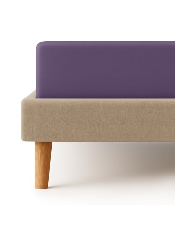 Cats Collection Spannbetttuch Edel-Jersey in violett