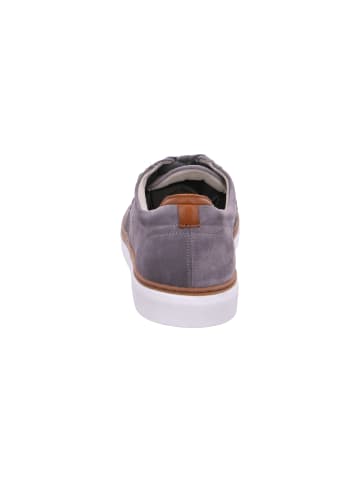 Pius Gabor Schnürer  in Grau