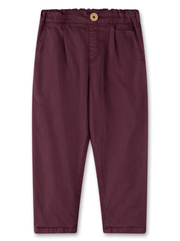 Sanetta Webhose in Rosa