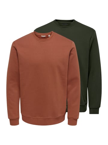 ONLY & SONS Sweatshirt Connor in Orange / grün