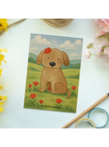 Mr. & Mrs. Panda Postkarte Hund Dame Design ohne Spruch in Weiß