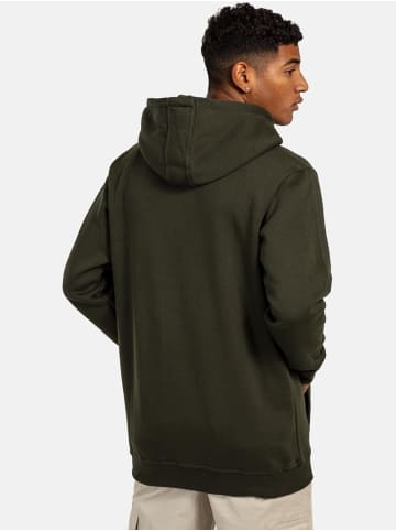 Reell Hoodie "Staple Logo Hoodie" in Grün