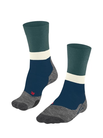 Falke Sportsocken TK2 in Peacock