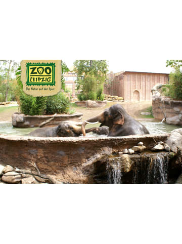 tripz Hotelgutschein: Markgraf Hotel Leipzig