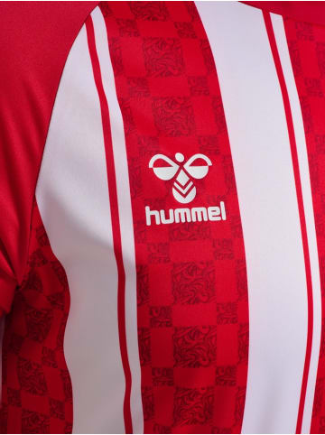 Hummel T-Shirt "Match Striped Jersey S/S" in Rot