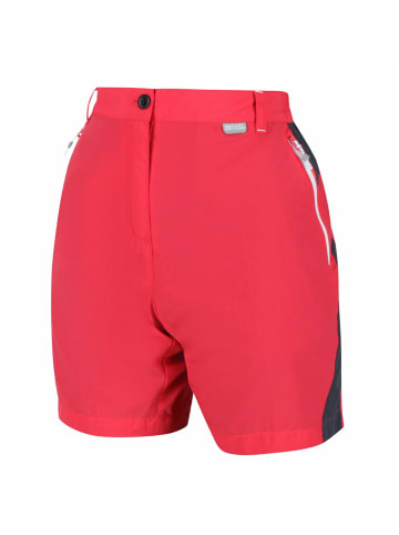 Regatta Outdoorshorts Sungari in RdSky/SealGr