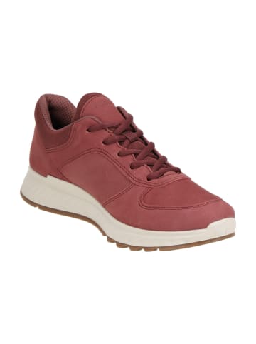 Ecco Sportliche Schnürschuhe in Rot