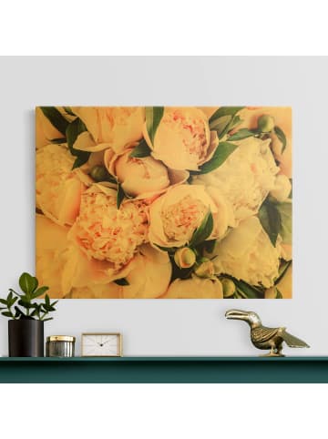 WALLART Leinwandbild Gold - Rosa Pfingstrosen mit Blättern in Rosa