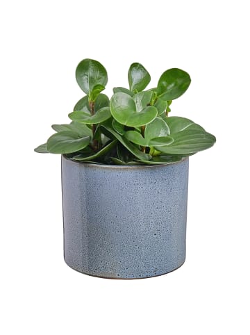 Butlers Blumentopf glasiert GLAZE in Petrol / Grau