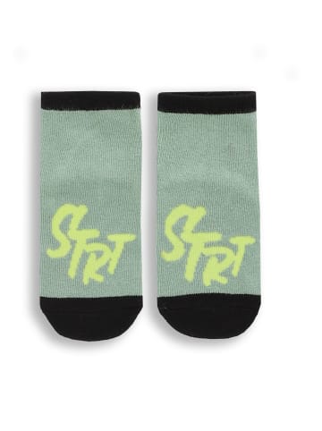 Coccodrillo Socken in grün