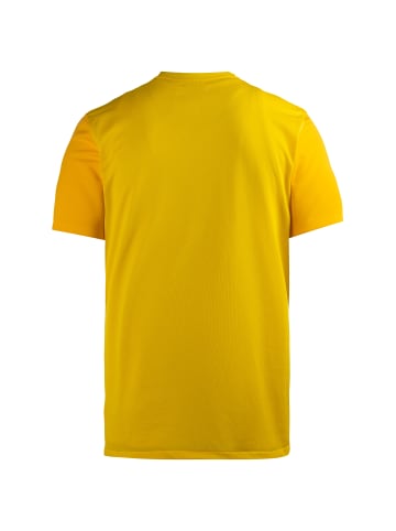 Nike Performance Fußballtrikot Trophy V in gelb / gold