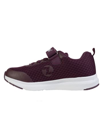 Zigzag Sneaker Camaton in 4081 Potent Purple