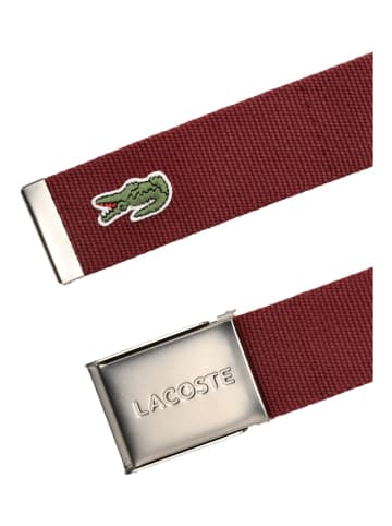 Lacoste Gürtel in Espresso