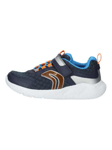 Geox Sneaker in Navy