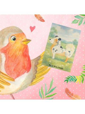 Mr. & Mrs. Panda valentinstagskarte Hund Australien Shepherd Des... in Weiß