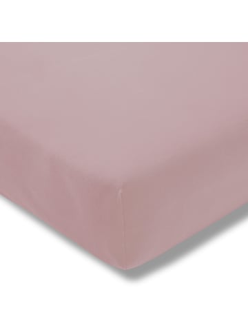 Estella Spannbetttuch Zwirn-Jersey in rosa
