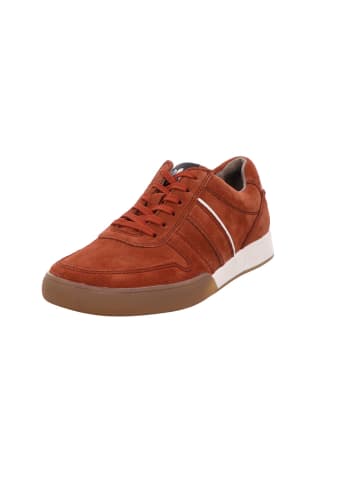 Gabor Freizeit Schnürer für Damen in braun