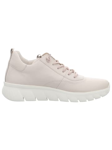 Gabor Sneaker in beige