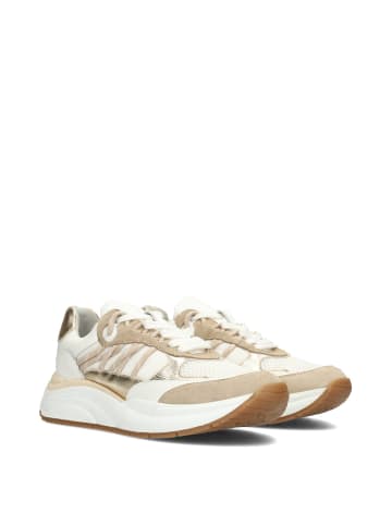 POELMAN Poelman CHARU Damen Sneaker