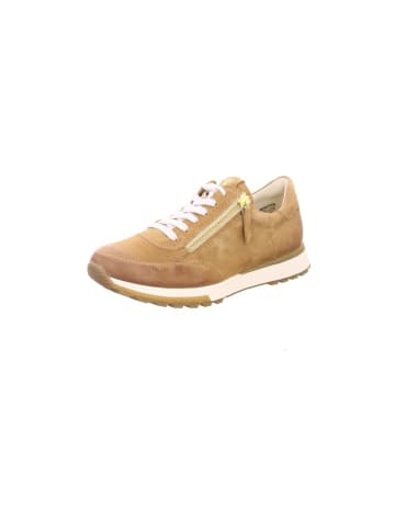 Paul Green Sneaker in Braun