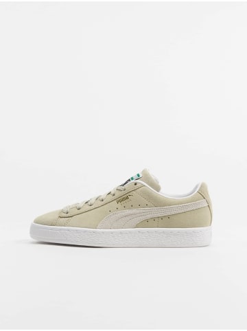Puma Puma in spring moss/white