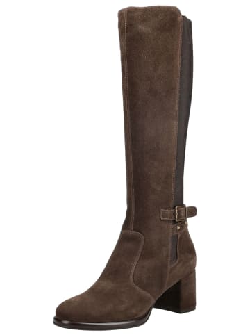 Nero Giardini Stiefel in Dunkelbraun