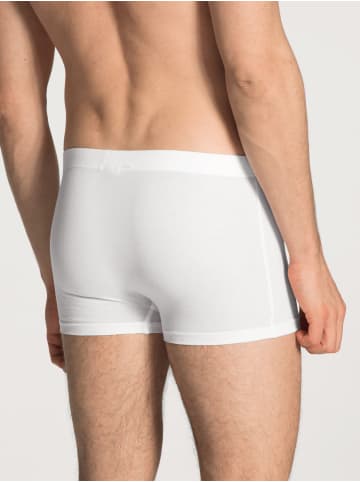 Calida New Boxer in weiss
