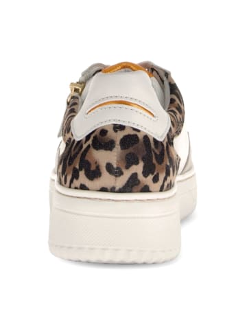 Gabor Comfort Sneaker Low in Beige