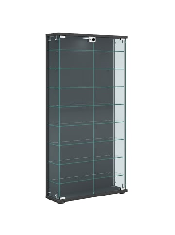 ebuy24 Vitrinenschrank StelasL anthrazit Anthrazit 59 x 17 cm