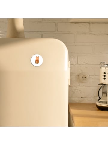 Mr. & Mrs. Panda Kühlschrankmagnet Bär Dankbar ohne Spruch in Weiß