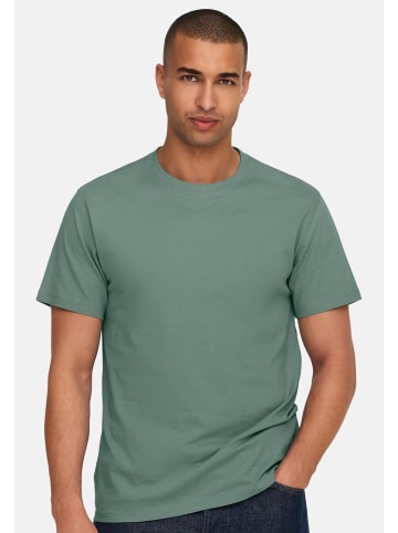ONLY & SONS T-Shirt MAX in Iceberg green