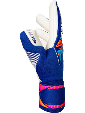 Reusch Torwarthandschuhe Attrakt Gold X NC in 4126 sharp blu/wht/shock orng