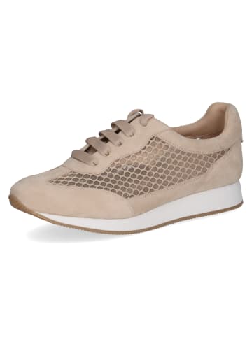 PETER KAISER Sneaker in beige