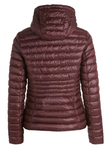 CARTOON Steppjacke mit Reißverschlusstaschen in Decadent Chocolate