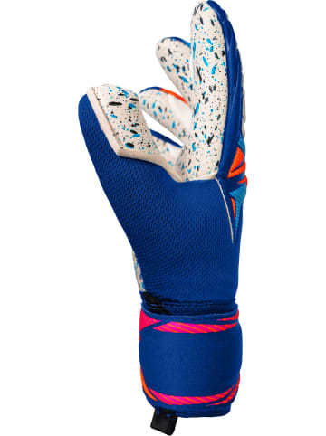Reusch Torwarthandschuhe Attrakt Fusion Guardian Jr in 4126 sharp blu/wht/shock orng