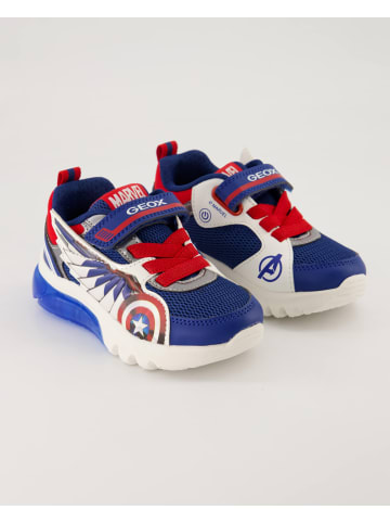 Geox Sneaker in Blau