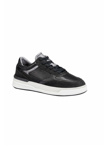 LLOYD Sneaker für Herren in Schwarz