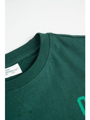 Coccodrillo Baumwoll-T-Shirt mit kurzen Ärmeln in grün