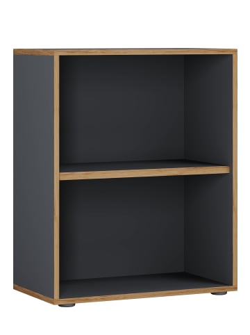 VCM Holz Büro Regal Bücher Ordner Aktenregal Salia 2f in Anthrazit