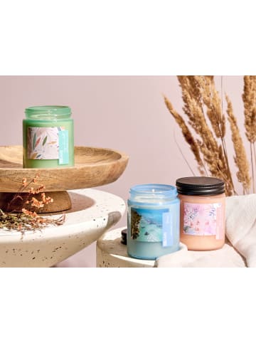 Beliani 3er-Set Kerze FRUITY BLOOM in Rosa/Blau/Grün
