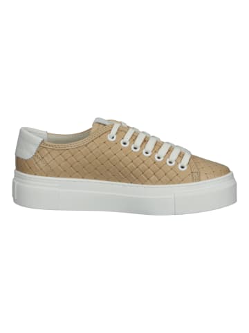 BRAX  Sneaker in Sand