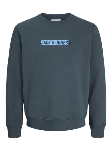 JACK & JONES Junior Rundhals Sweatshirt Jjmunk in turbulence