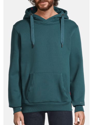 Salzhaut Hoodie HEFF in Dragonfly