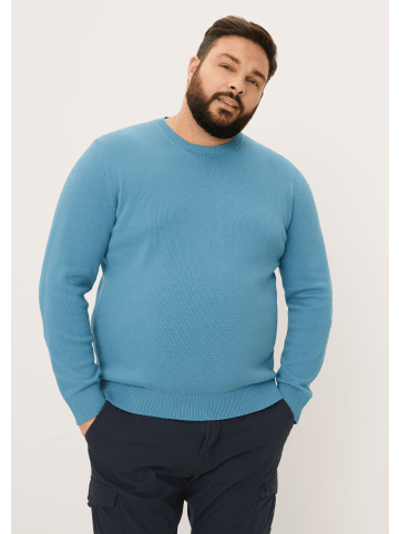 s.Oliver Pullover langarm in Blau